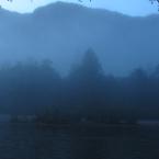 Misty Morning
 / Туманное утро